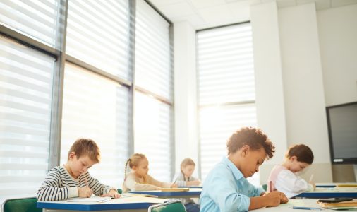 Young Students Having Lesson